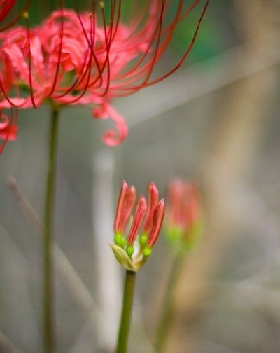 不再|7月下旬,桃花萦绕,真情不再绕路,幸福爱情降临的4大星座