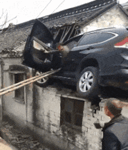 趣图|搞笑GIF趣图:没事我就出去溜溜,让这几个鸡仔羡慕嫉妒恨