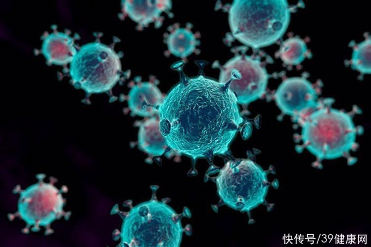 蜂蜜抽检报告：超4成蜂蜜不合格，“酱油蜜”勾兑成行业潜规则？2023