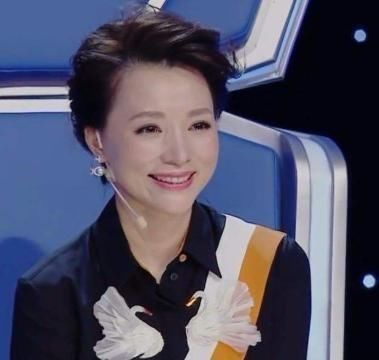  王嘉宁|王嘉宁将取代董卿，加盟央视《挑战不可能》观察团，凭借的是什么