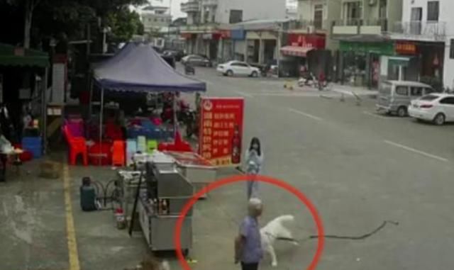  发生|毫无人性！老人被“狗绳绊倒”重摔身亡：12岁女孩冷漠逃走