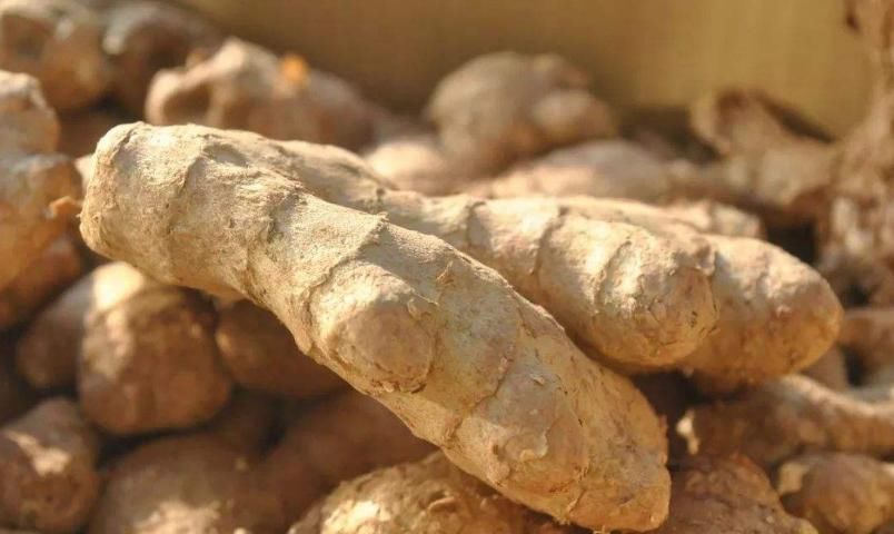  新鲜|生姜放久了会干瘪？教您4招，不干瘪不长芽，放一年都新鲜