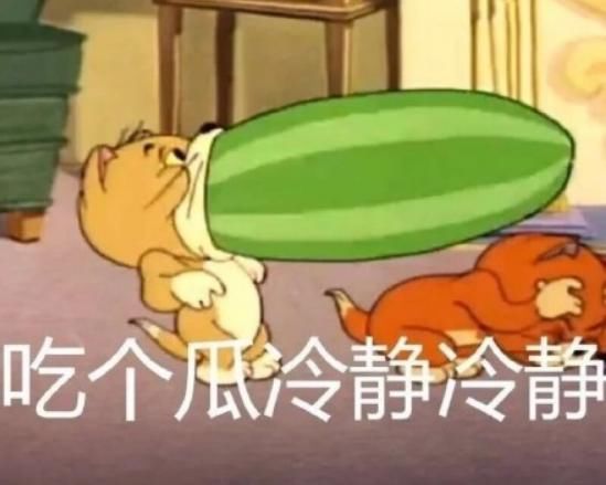  小编|相对于NPC、UNINE、R1SE哪个团实力会更抗打