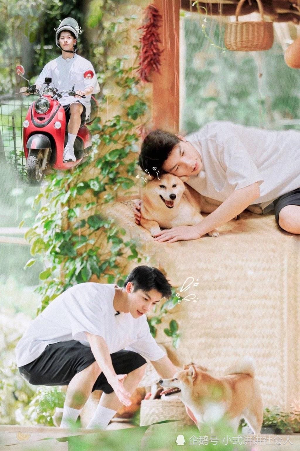  回应|《向往的生活》被吐槽挂羊头卖狗肉，立马发出回应：有什么冲我来