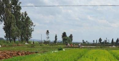 农村地区|农民夫妻之间聚少离多，为什么离婚率却很低？男人的回答很现实！