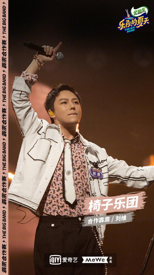  乐夏|刘维与乐评人丁太昇在网上互撕，刘维参加乐夏被当成综艺混子