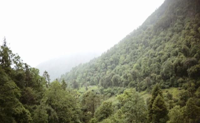  只能|如果今年只能来一次，走这条路线就对了！