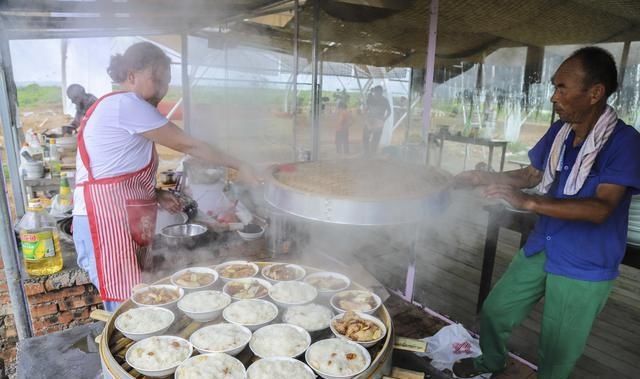  山镇|藏在宝山镇的美丽花园，不仅大丽花花开迷人眼，更有牡丹玉笑珠香