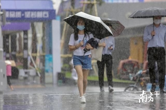 深圳市|图集丨深圳暴雨雷电双预警，开启“疯狂倒水”模式