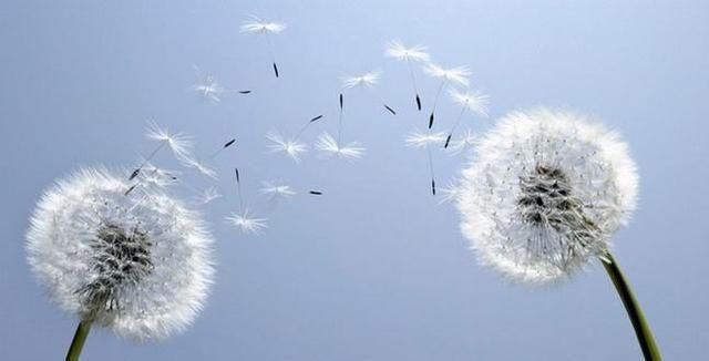 隐私就|家长安装摄像头监控孩子：你的孩子，不是你的孩子