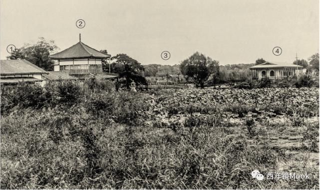  院子|111年前的北京动物园旧影