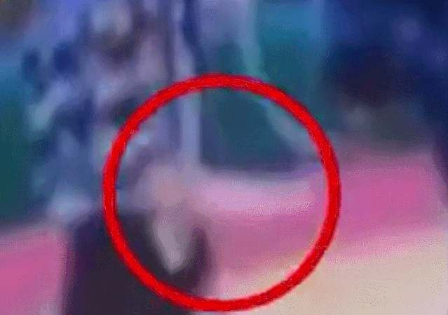  黑熊行为|西安秦岭野生动物园虐熊？官方回应