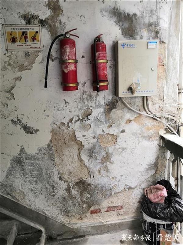  墙壁|墙壁漏水钢筋裸露，60年老房子成C级危房，60多户居民盼妥善处置