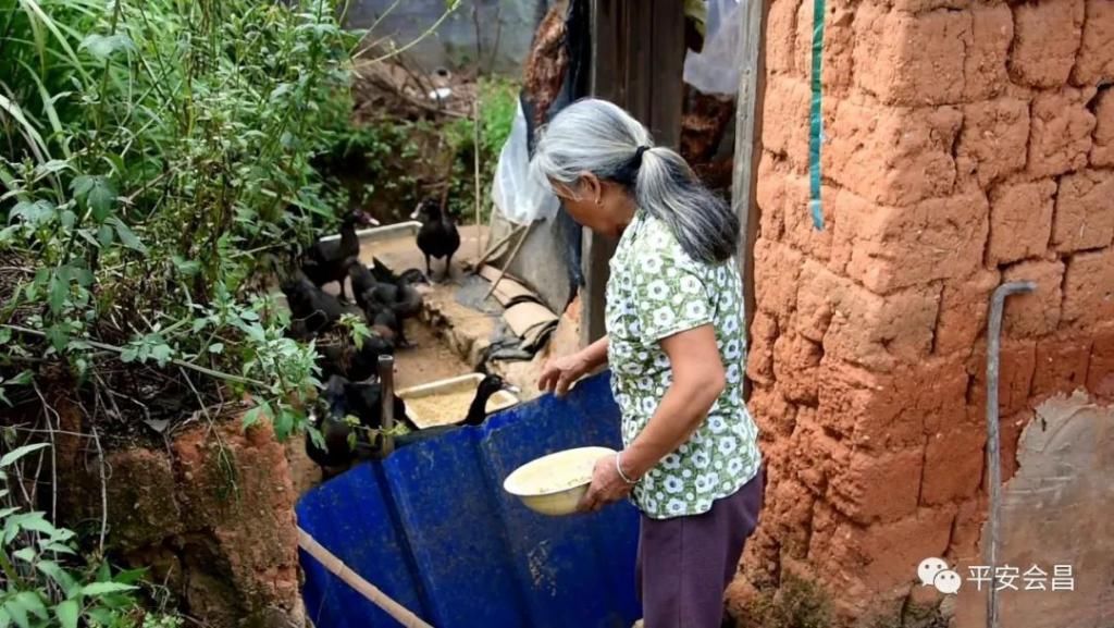 下跪|会昌一小偷面对两位六旬老人下跪求饶，该不该原谅？