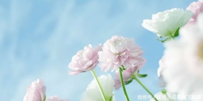 活着|《活着》:只要活着就证明人生还有希望,学会好好珍惜吧