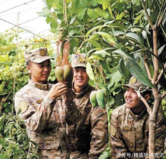 雪山之巅暖意融 卫国戍边志更坚