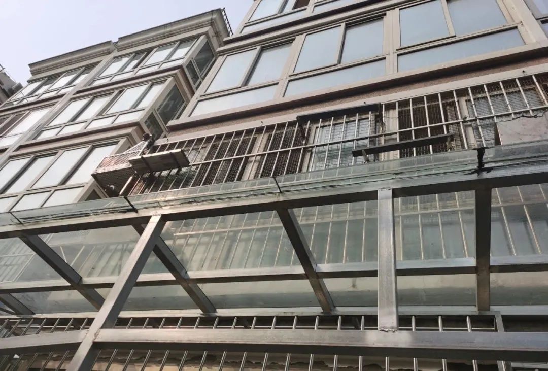 邻居|邻居对簿公堂竟是鸽子惹的祸？看法官如何就地化解纠纷