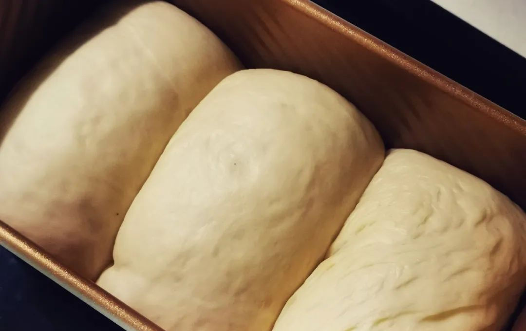  吐司|请大口吃光我的第一个吐司