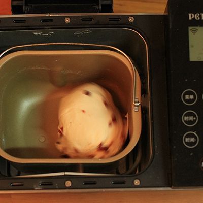  和面|无油酸奶蔓越莓吐司