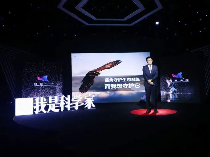  人生|研究灰脸鵟鹰那两年，是我人生中感到最热的两个夏天