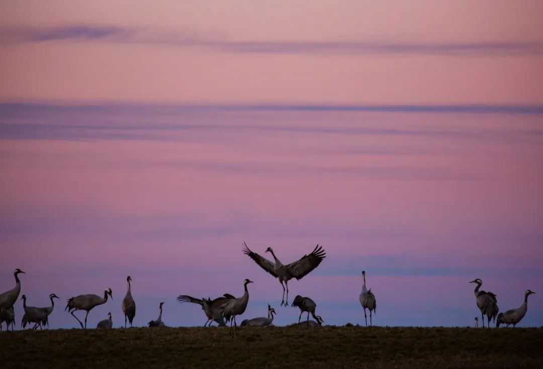  不止|瑞典的美，不止一种颜色！
