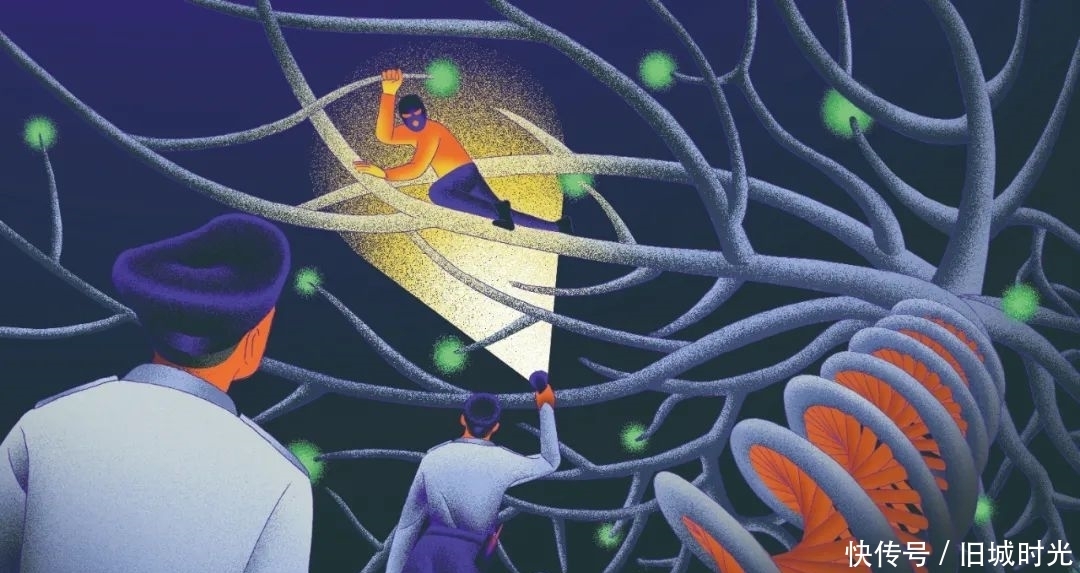 白银市|DNA,无所不能:基因之网,疏而不漏