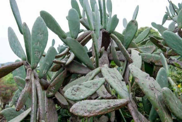 雕塑|必须曝光!景区这么美,他们却做出这种事……