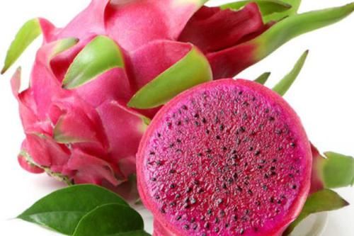  从不|你吃完火龙果后，直接把皮丢掉吗？要知道我从不丢。