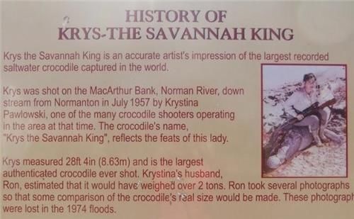 开枪|身高1米6的小女人，击毙世界最大湾鳄，晚年悔道：给100万美元也不开枪