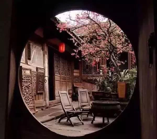  花园|有庭院的人，一定会懂生活