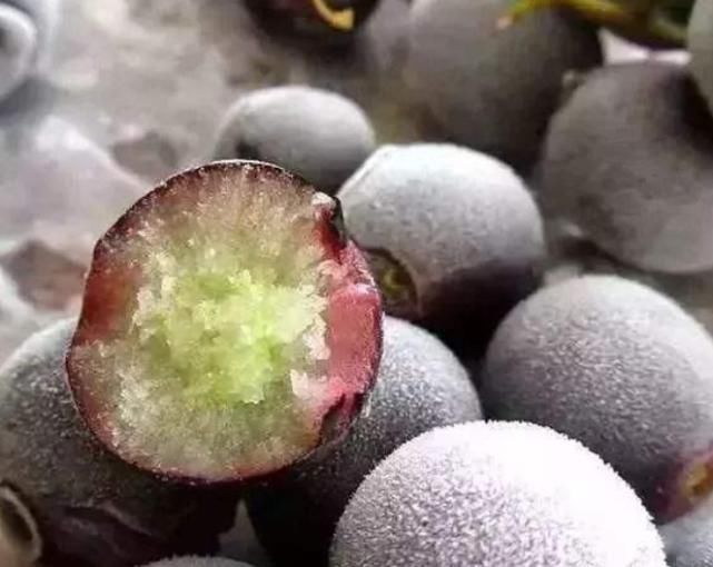 冻草莓|冻起来好吃到“爆”的水果,不是我吹,最后一个没几个人吃过!