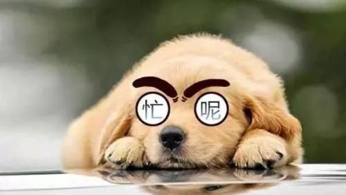 公司|网友:我拒绝加班单位要辞退我,这该怎么办?网友建议亮了