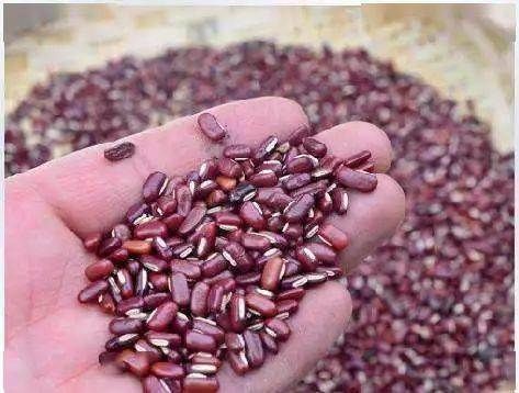  五谷杂粮|五谷杂粮的营养好，它营养丰富