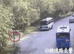 交通|交通GIF动图:什么叫鬼探头,到底有多危险