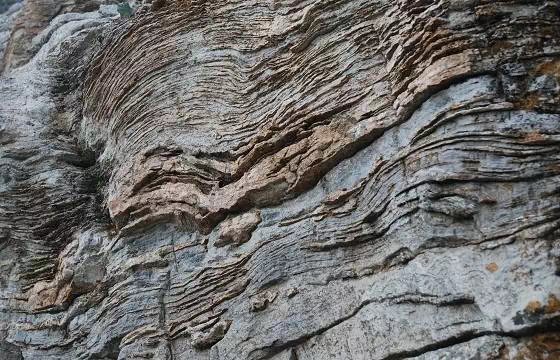  微生物|叠层石：地球上最古老的生物化石，居然还有活的