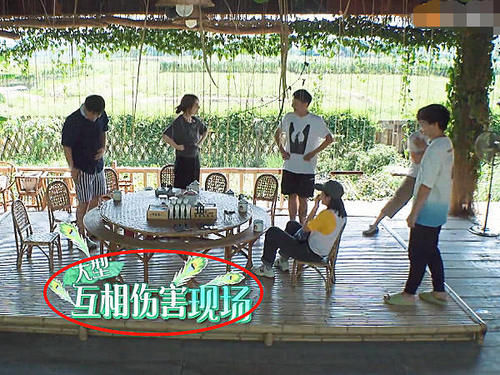  解释|维嘉嫌黄磊准备的茶叶不好，字幕组打出8个字解释，做到完美救场