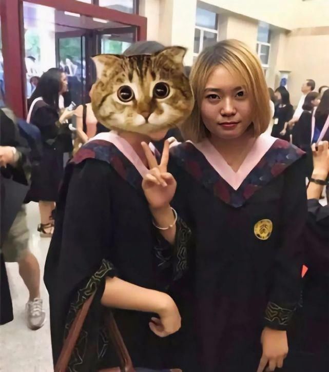  锦鲤|追星锦鲤，脱口秀黑马，都比不上一个“李雪琴”