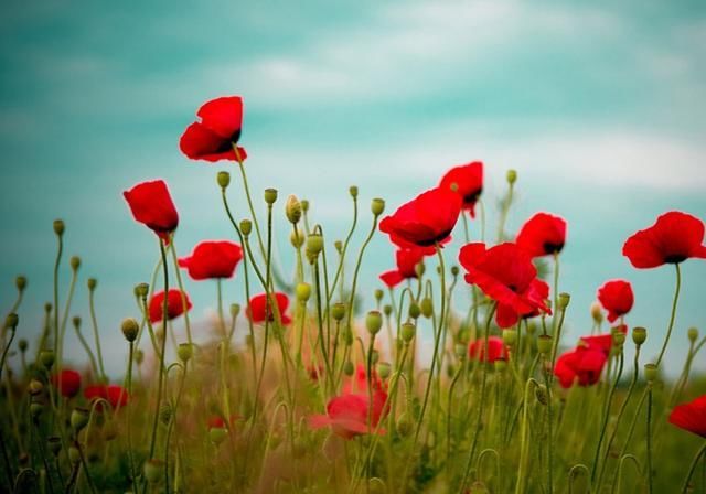  大丰收|财富大丰收！3生肖再过7天，7月底8月初，正财临命，业绩大幅提升，金库赚满当