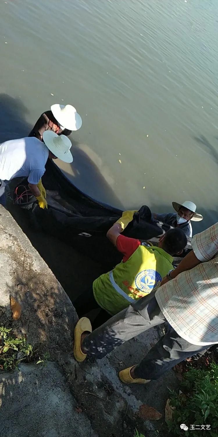  游泳|痛心！18岁男孩到榕江游泳不慎溺亡，尸体已打捞到