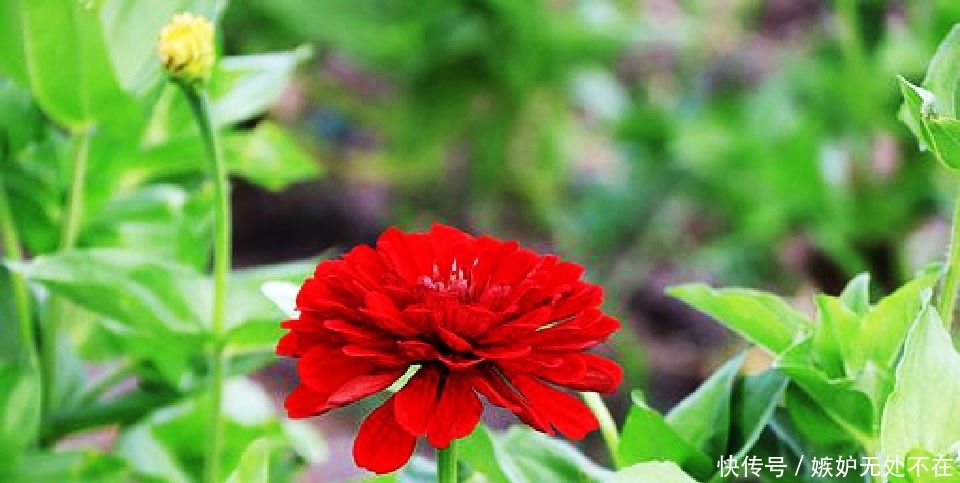 不必|富有哲理的经典句子,句句中肯,句句入心