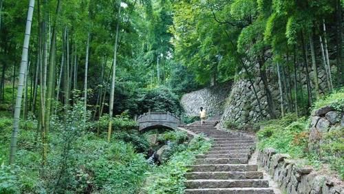莫干山景区|孩子景区撒尿，亲妈被推下悬崖——索赔150万，推人者要分期付
