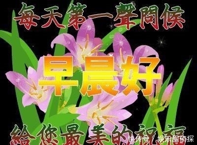  早安|无论与您的距离有多远，时时都有我真诚的问候，早安