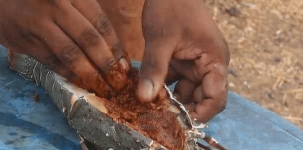 新鲜|印度人卖的新鲜龙虾,野外直接烤了吃,刚放到火上,顾客就走了