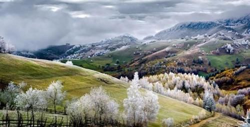  绝望|女大学生青海失联18天：远方不止有诗和浪漫，还有危险和绝望