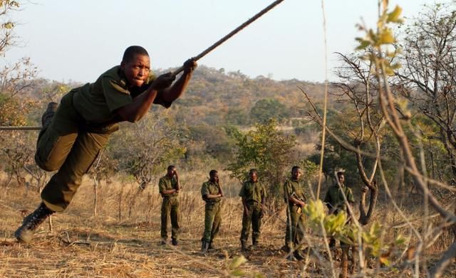 盗猎|经历过性侵和家暴，如今她们扛起枪，成为非洲最勇敢的女团！