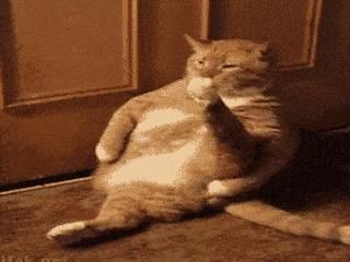  超市|超市里的冷冻鸡腿都是从哪来的？为啥从不断货？看完就懂了