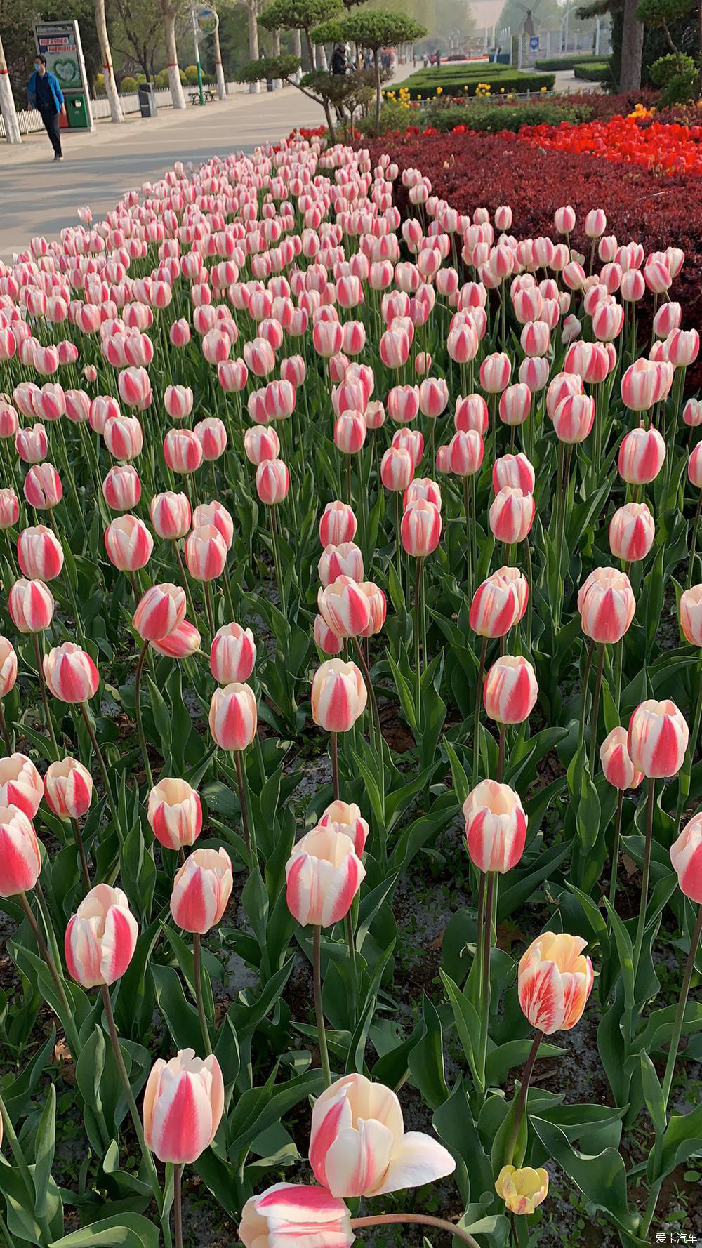  解释|【我们都过了解释的年纪】新的起点，出发吧