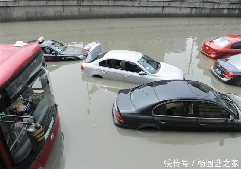  大暴雨|大暴雨淹没车顶，唯独普拉多幸免，车主笑了：不看看我停在哪了！