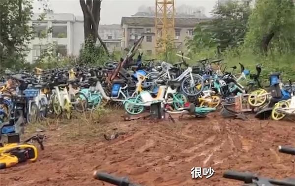 小区|小区每晚发出”我摔倒了 快扶我起来“的恐怖女声 真相揭开:是共享单车