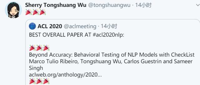  CV|专访ACL2020最佳论文二作：全新NLP模型评测方法论，思路也适用于CV